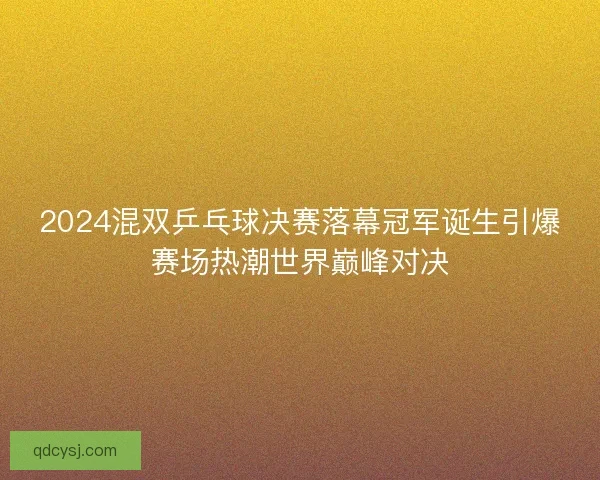 2024混双乒乓球决赛落幕冠军诞生引爆赛场热潮世界巅峰对决